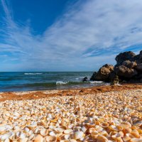 *** :: Виталий Емельянов *** :: Виталий Емельянов