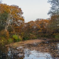Про осень :: Сергей Цветков