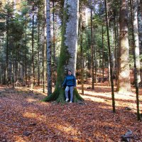 Гузерипль :: Сергей Запорожцев