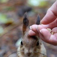 По лобику... :: Александр Кондаков
