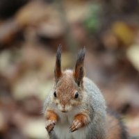 С чего начать? :: Александр Кондаков