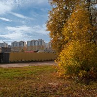 Осенняя улица :: Александр Синдерёв