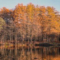 Осиновая Роща :: skijumper Иванов