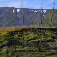 *** :: Александр Хаецкий