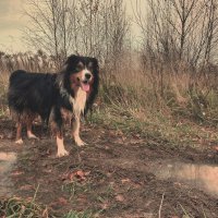 ну... допустим.... ХРЮ!!! :: Артём 