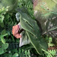 Малой :: Ален Янн 