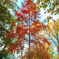 *** :: Witalij Löwin *** :: Witalij Löwin