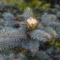 54 дня до Нового года :: Валерий Иванович 54 дня до Нового года :: Валерий Иванович