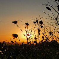 Солнышко уходит на отдых :: Владимир Кириченко