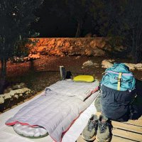 Хорошо устроились на ночь... :: Георгиевич 