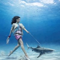 Walk the shark.. :: Валерий Кокорев