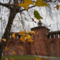 Ноябрь на фоне Коломенского кремля :: Lersa 