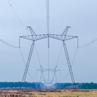 Перспектива :: Галина Ложечникова