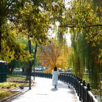 Осень на набережной Салгира :: Валентин Семчишин Осень на набережной Салгира :: Валентин Семчишин