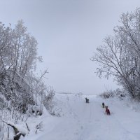 Зима :: Anna Ivanova