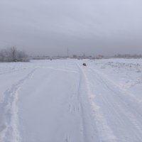 Зима :: Anna Ivanova Зима :: Anna Ivanova