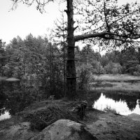 Фотография :: Денис Безногов