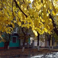 *** :: Валентина Береснева *** :: Валентина Береснева