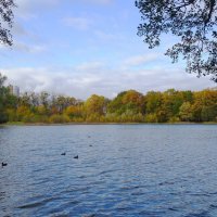 Озеро Лесное, Калининград :: Рита Симонова Озеро Лесное, Калининград :: Рита Симонова