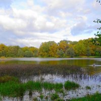 Озеро Лесное, Калининград :: Рита Симонова