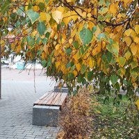 ,,, :: Сергей Тимоновский