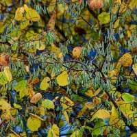 Еще осень не успела листья сбросить... :: Lucy Schneider 