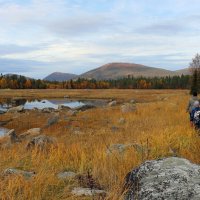 По берегу Белого моря :: Ольга 