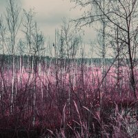 Без названия :: fogmeadowww m