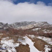 Природа Крыма :: Amazing Cosmea