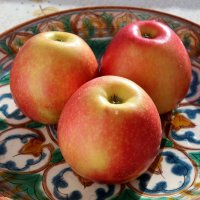 Яблоки :: Владимир Помазан