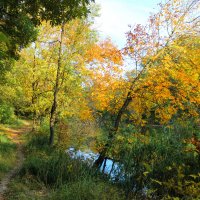 Осень. :: Александр 