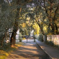 Осенний свет :: Людмила Фил