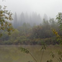 Туманное утро :: Нина северянка