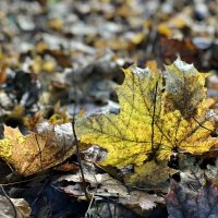 На исходе дня… :: Любовь На исходе дня… :: Любовь