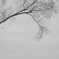 *** :: Анна Малышева