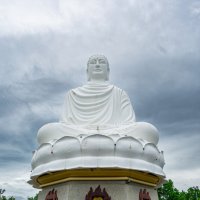 *** :: Николай Чекалин