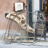 Варшава :: Светлана Ищенко