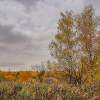 Под небом октября... :: Владимир Жданов