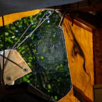 Сети. :: Дмитрий А