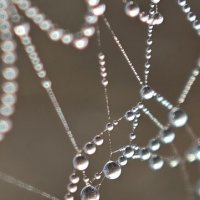 ожерелье :: Наталия 