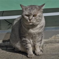 Хайфа 2025г :: ujgcvbif 