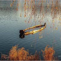 "Сгнили борта, и нет парусов на реях. И никогда полный не дать вперед. " :: Aquarius - Сергей