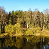 Осень в начале ноября. :: Милешкин Владимир Алексеевич 