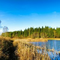 Смоленская область в начале ноября. :: Милешкин Владимир Алексеевич 