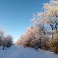 Зимняя дорога :: Андрей Хлопонин