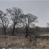 Унылая пора :: Валентин Котляров Унылая пора :: Валентин Котляров