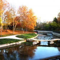 Осень золотая :: Валентин Семчишин