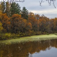 Осень у лесного озера :: Сергей Цветков Осень у лесного озера :: Сергей Цветков