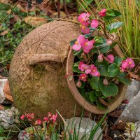 18 октября 2025 Горшок на клумбе :: Игорь Сикорский 18 октября 2025 Горшок на клумбе :: Игорь Сикорский