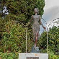 Флора :: Варвара 